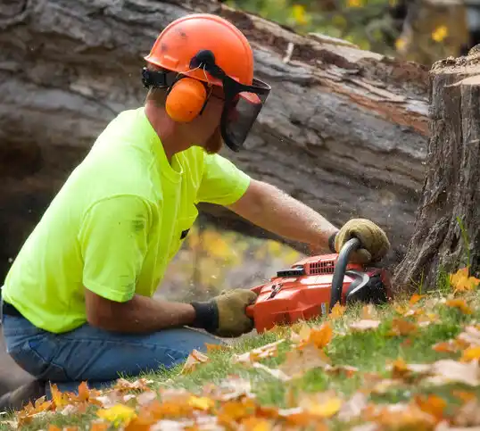 tree services St. Clairsville